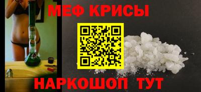индика Кингисепп