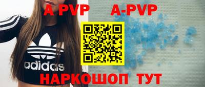 индика Кингисепп