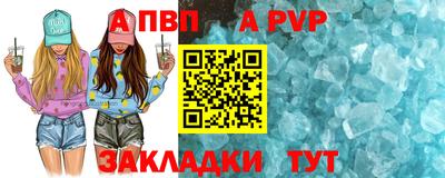 индика Кингисепп