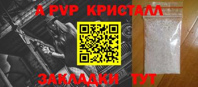 индика Кингисепп