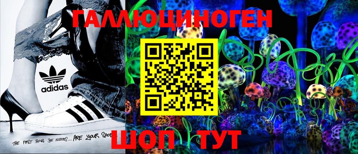 Чернушка  Псилоцибиновые грибы мицелий  Вход с VPN 