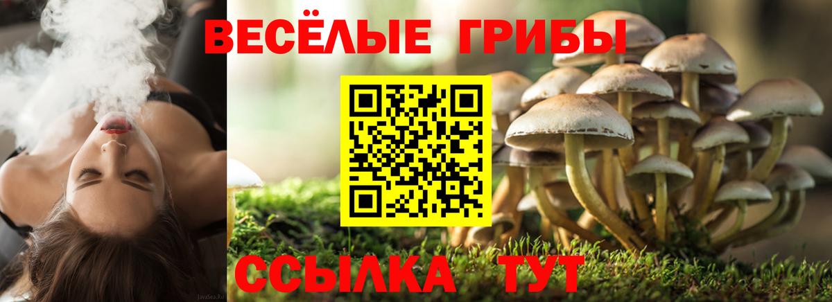 Галлюциногенные грибы Magic Shrooms Чернушка
